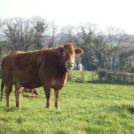 La Peraie - Le Chene Vakantiehuis *