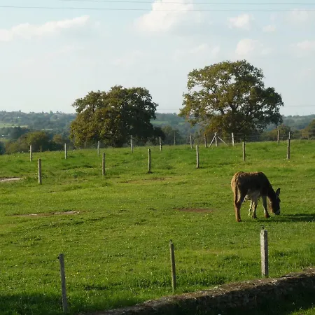 La Peraie - Le Chene