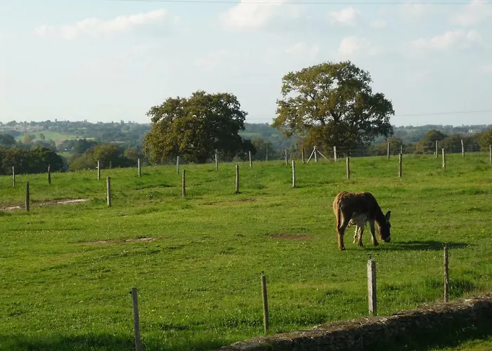 La Peraie - Le Chene
